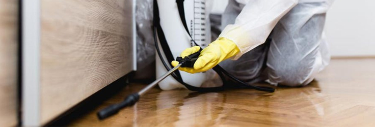 Pest Control Service In Winthrop