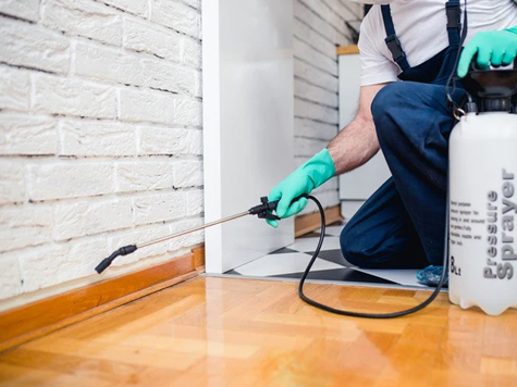 Preventing pest problems in your house