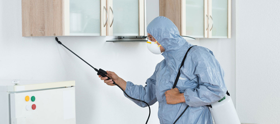 Pest Control Yanchep