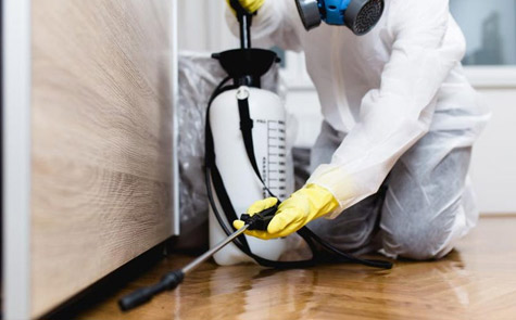 Pest Control Services In Bateman