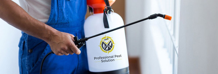  Protective Pest Control Service In Haynes