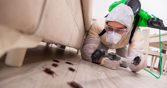 Fumigation Services in Perth