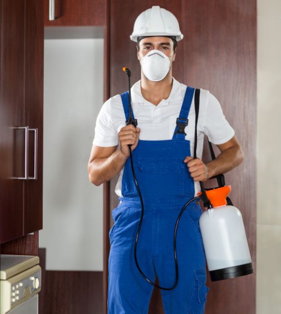 Pest Control Services in Perth